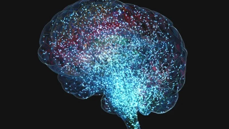 Científicos descubren que el cerebro humano emite luz: no ocurre en ratones