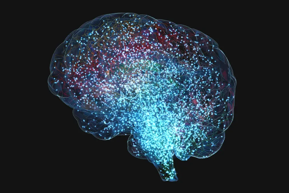 Científicos descubren que el cerebro humano emite luz: no ocurre en ratones