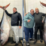 los pescadores con el ejemplar del atun gigante - mar dele plata - junio 2025