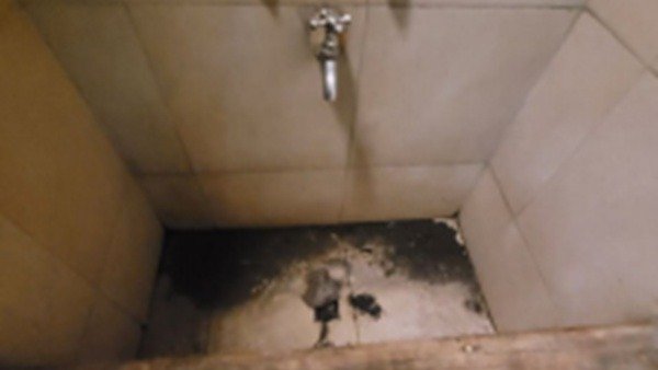 Denuncian por abandono sanitario en el Arca: hablan de baños en mal estados y plaga de cucarachas