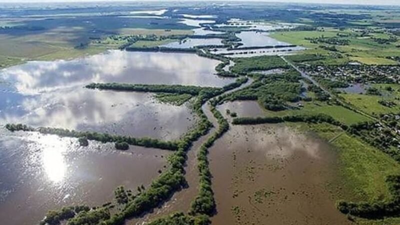 Declaran la emergencia agropecuaria en Buenos Aires por inundaciones